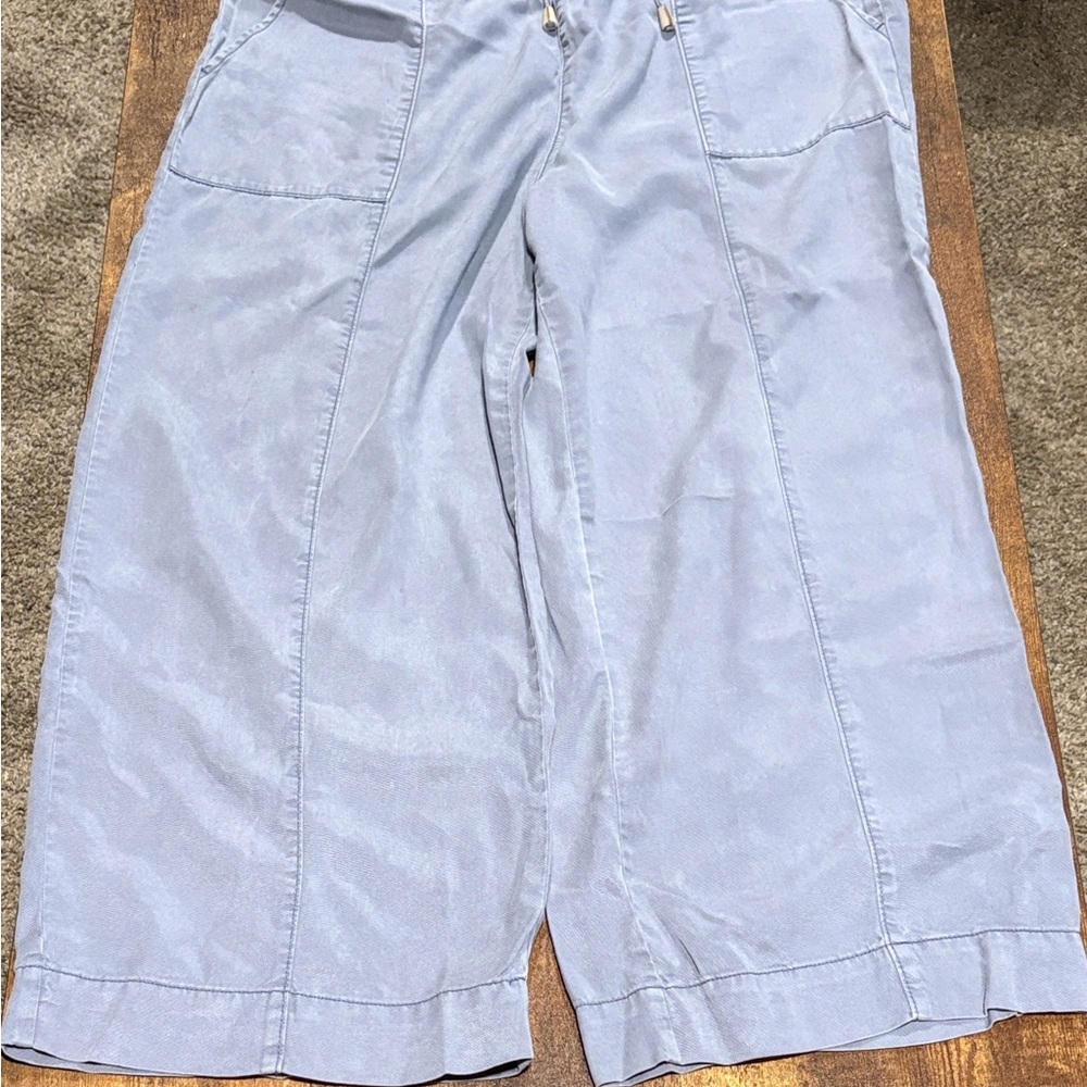 Joie Soft Blue Lyocell Pants